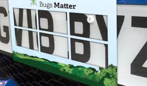 Free Bugs Matter Kits