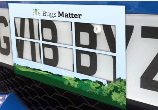 Free Bugs Matter Kits