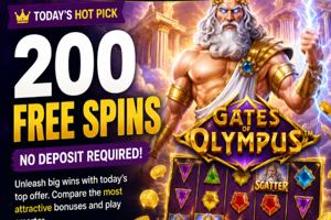 Lucky VIP - Free Spins